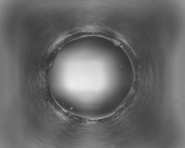 X0000078281304200611101123