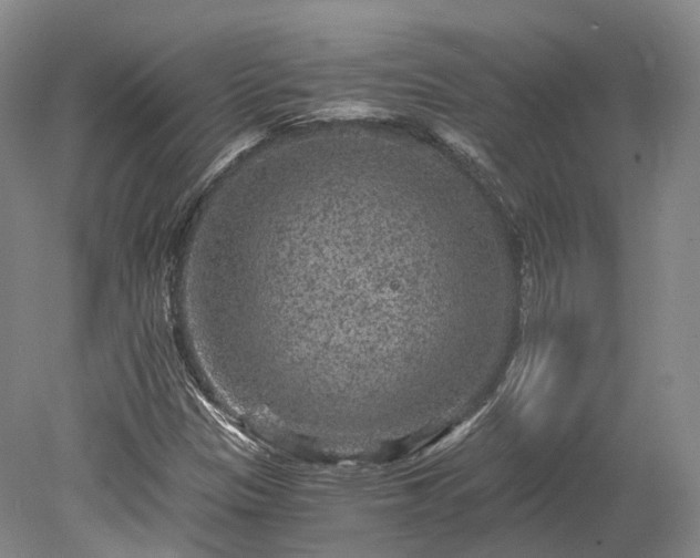 X0000078281305200611101123