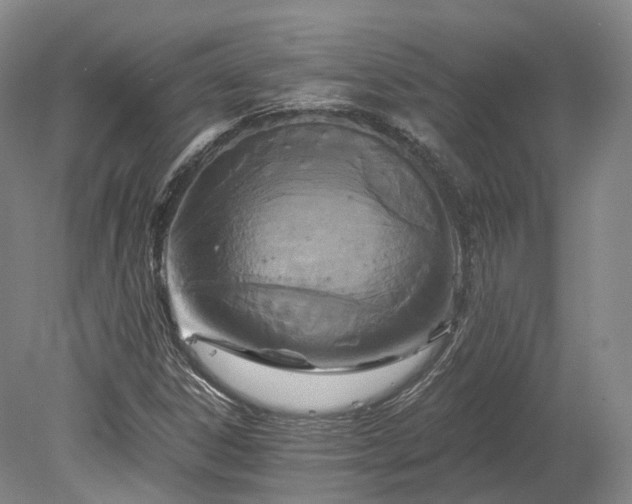 X0000078281306200611101123