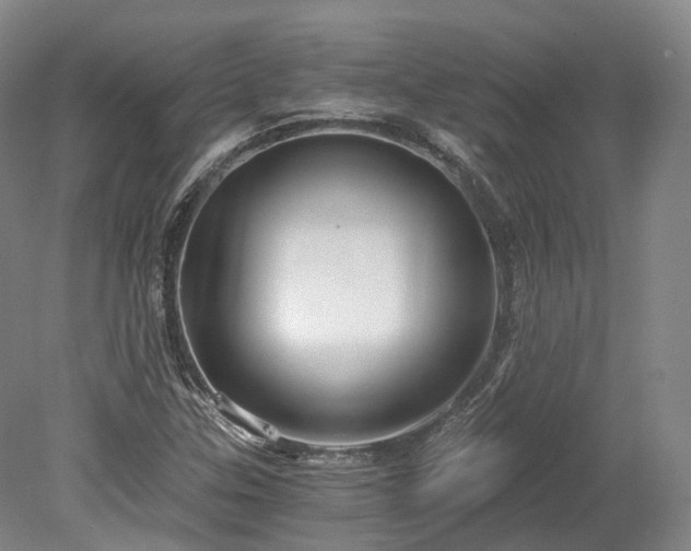 X0000078281307200611101123