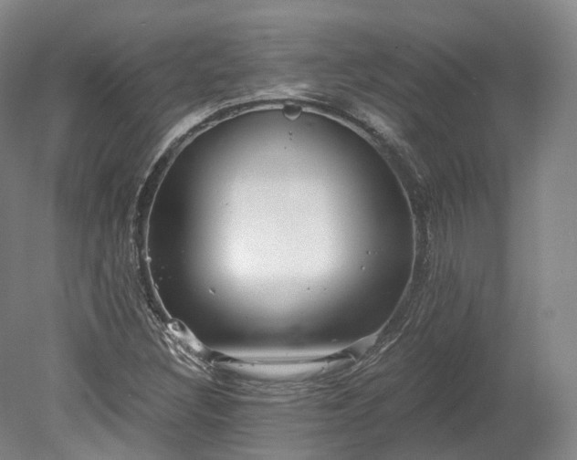 X0000078281308200611101123