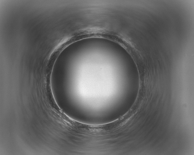 X0000078281309200611101123