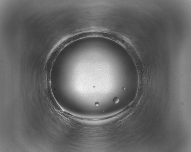 X0000078281310200611101123