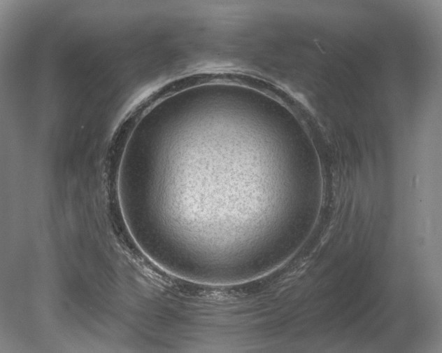 X0000078281311200611101123