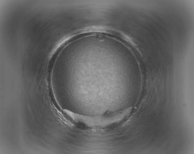 X0000078281312200611101123