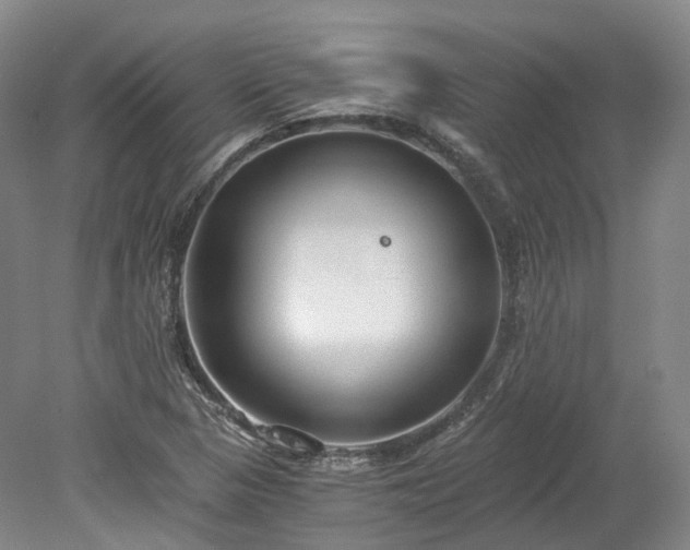 X0000078281313200611101123