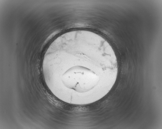 X0000078281314200611101123