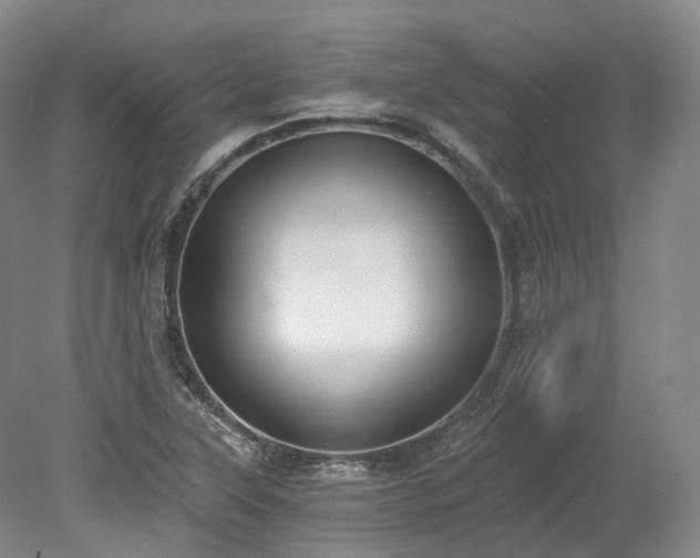 X0000078281315200611101123