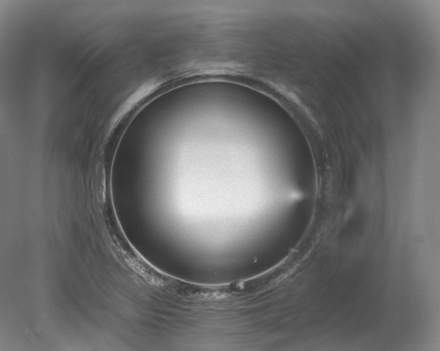 X0000078281317200611101123