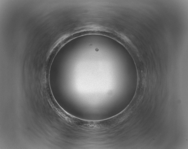 X0000078281318200611101123