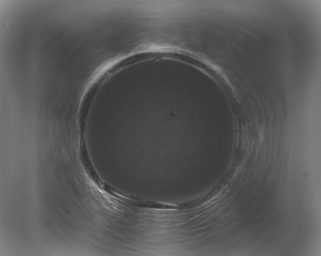 X0000078281319200611101123