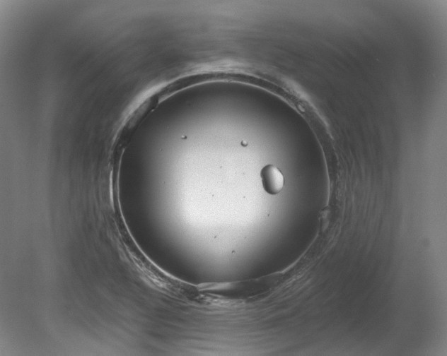 X0000078281320200611101123