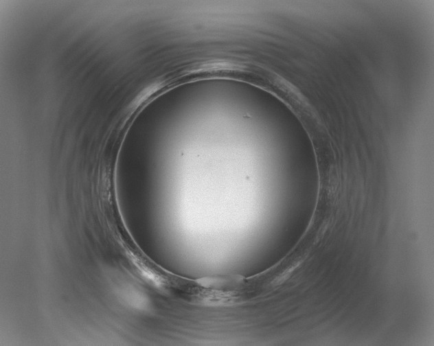 X0000078281321200611101123