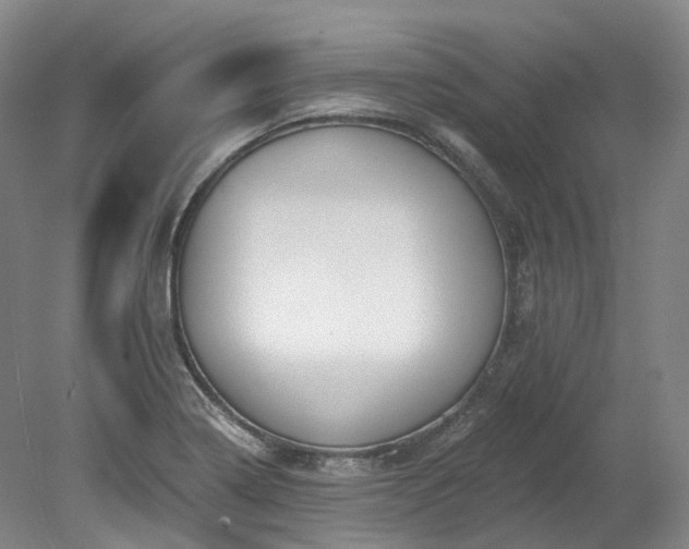 X0000078281322200611101123