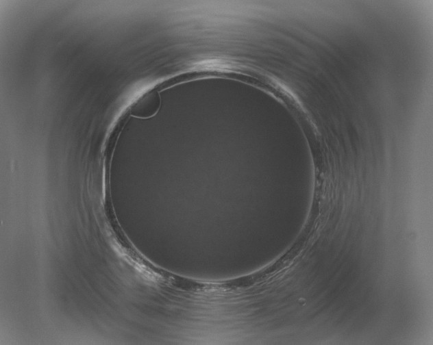 X0000078281323200611101123