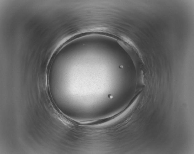 X0000078281324200611101123