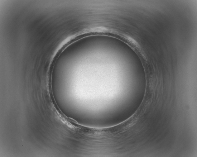 X0000078281326200611101123