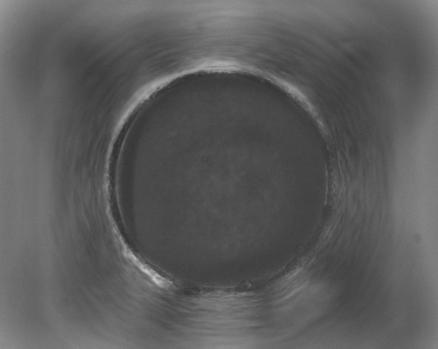 X0000078281327200611101123