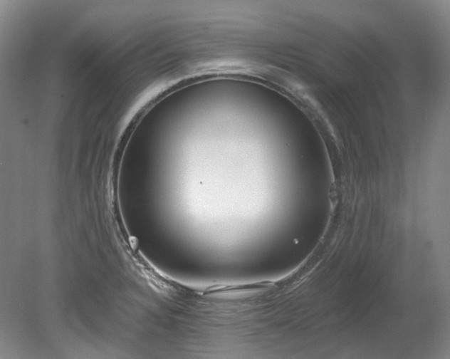 X0000078281328200611101123