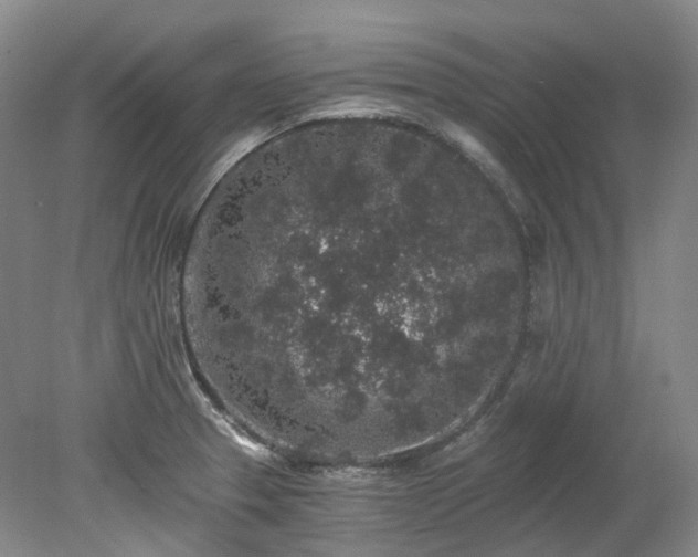 X0000078281329200611101123