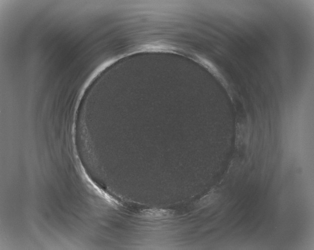 X0000078281331200611101123