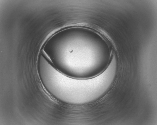 X0000078281332200611101123