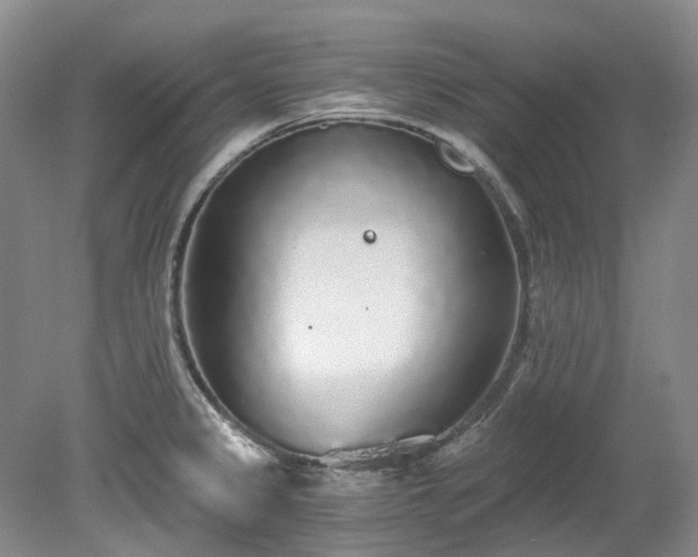 X0000078281333200611101123