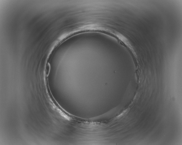 X0000078281334200611101123