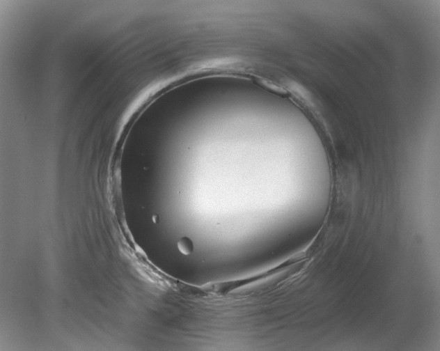 X0000078281336200611101123