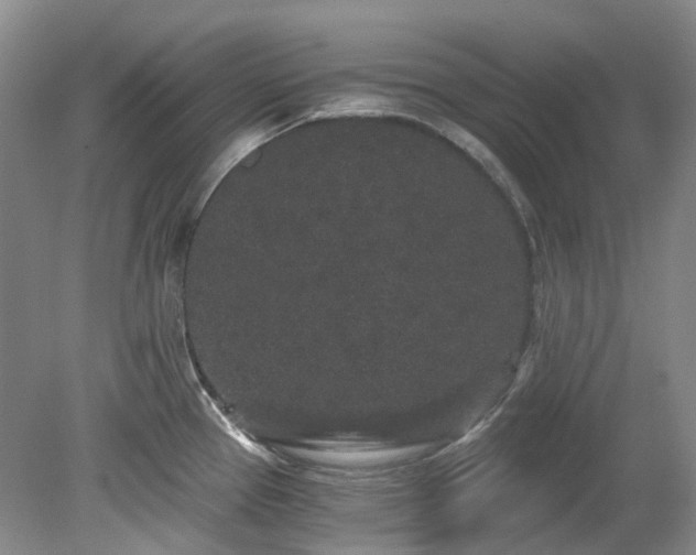 X0000078281337200611101123