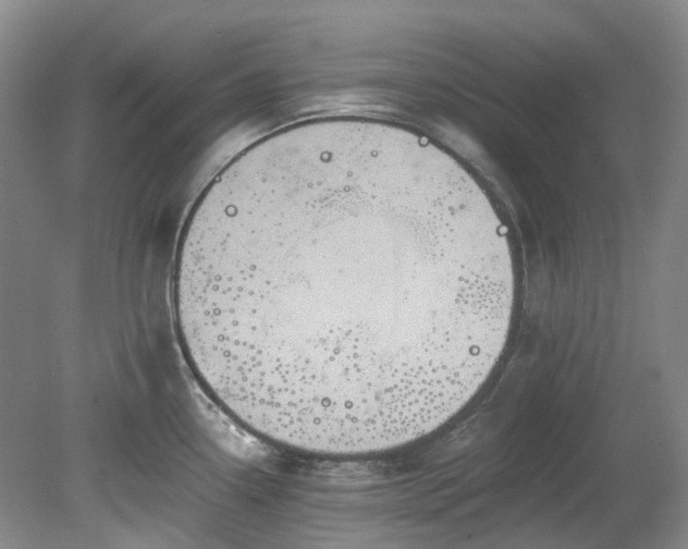 X0000078281338200611101123