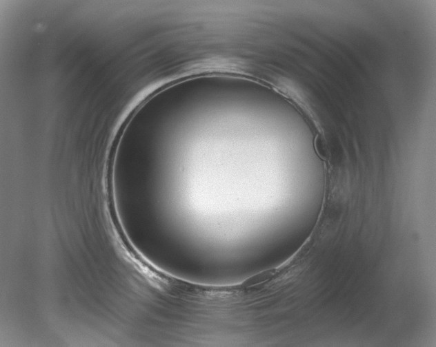 X0000078281339200611101123