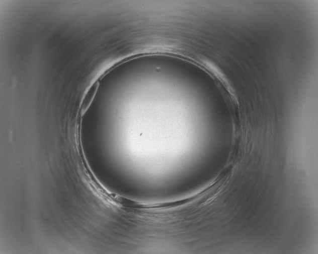 X0000078281340200611101123