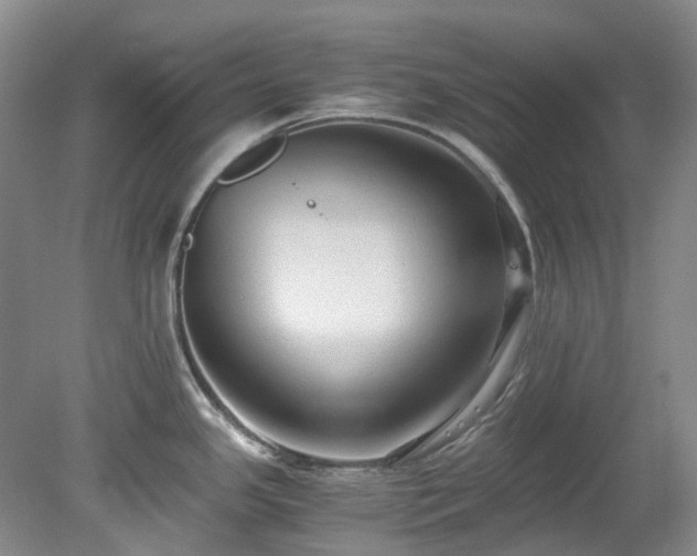 X0000078281341200611101124