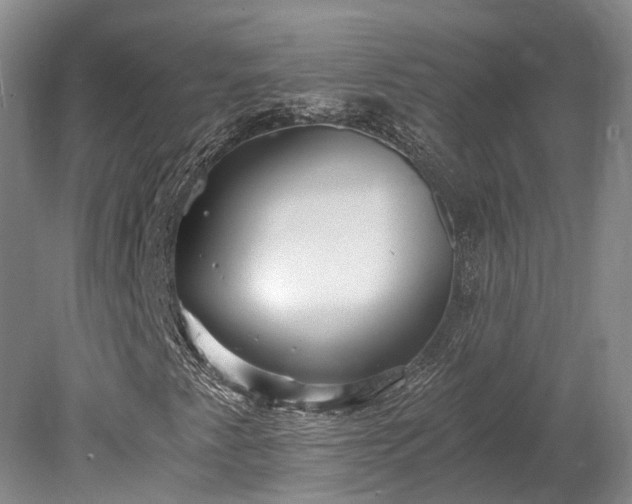 X0000078281345200611101123