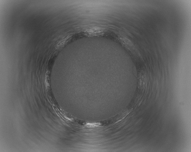 X0000078281346200611101123