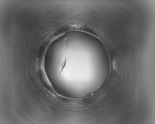 X0000078281347200611101123