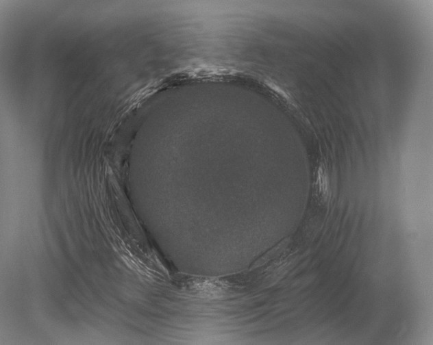 X0000078281348200611101123