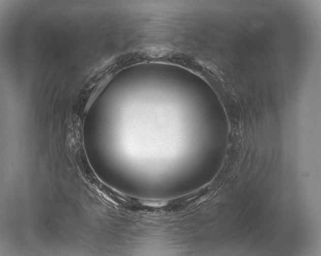 X0000078281349200611101123