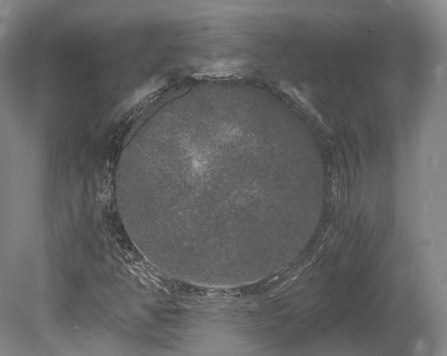 X0000078281350200611101123