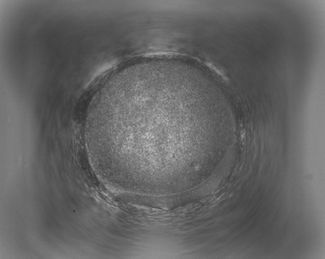 X0000078281351200611101123