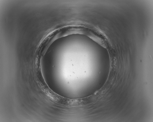 X0000078281352200611101123