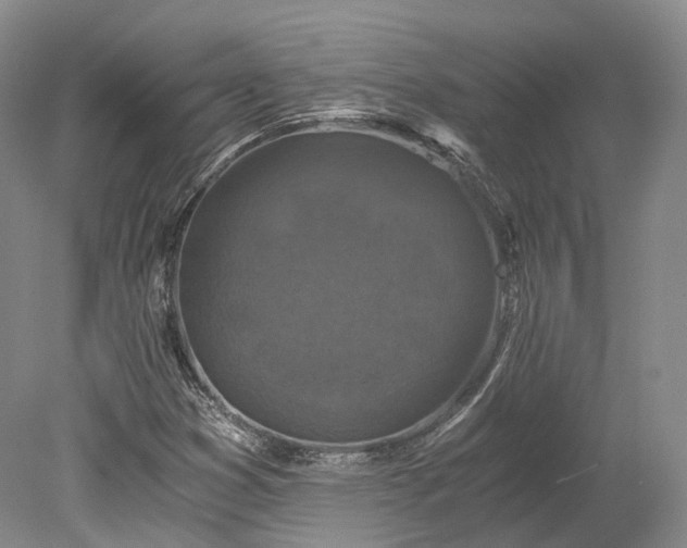 X0000078281353200611101123