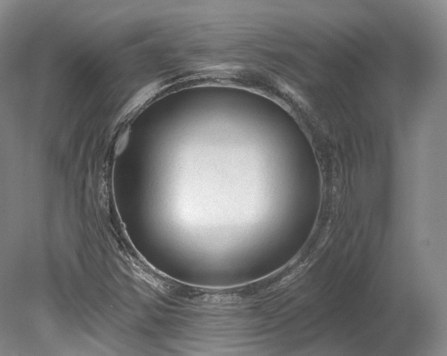 X0000078281354200611101123