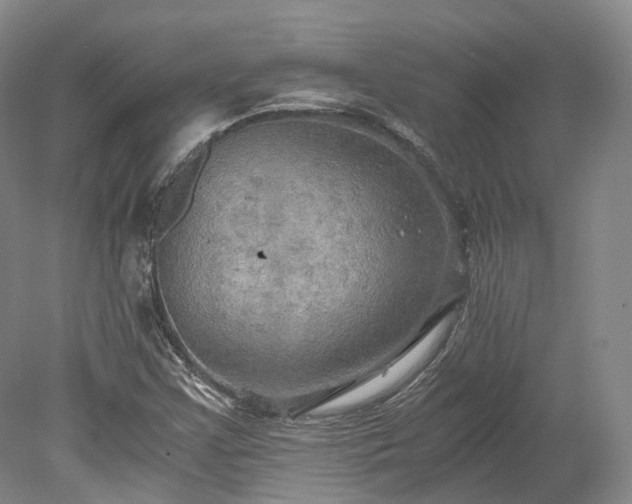 X0000078281355200611101123