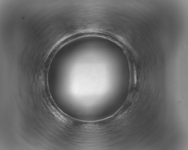 X0000078281356200611101123