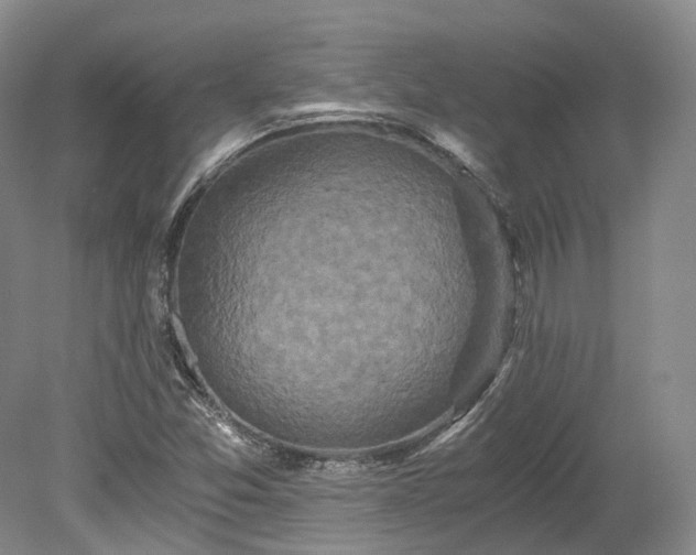 X0000078281357200611101123