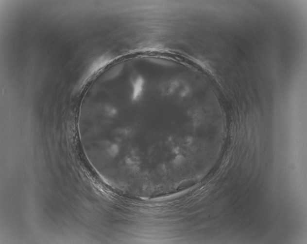 X0000078281359200611101123