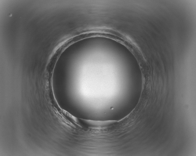 X0000078281360200611101122