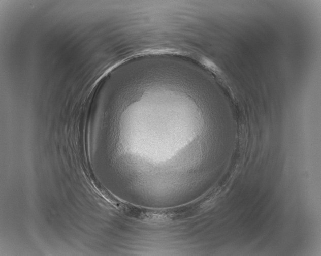 X0000078281361200611101122